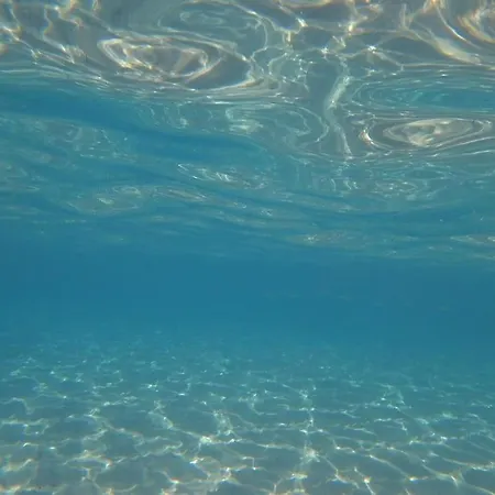 Acquario *
