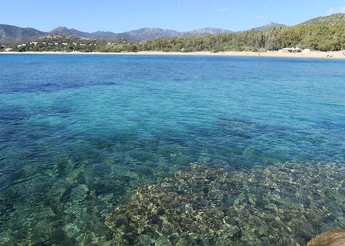 Acquario Torre delle Stelle